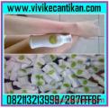 BIBIT PEMUTIH LOTION KULIT CERAH SEKETIKA / 082113213999