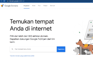 Web Laman Domain Google